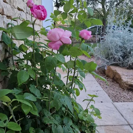 Hébergement de vacances Les Mésanges Vancais