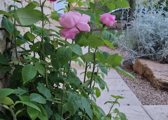 بيت للعطل Les Mesanges Vancais